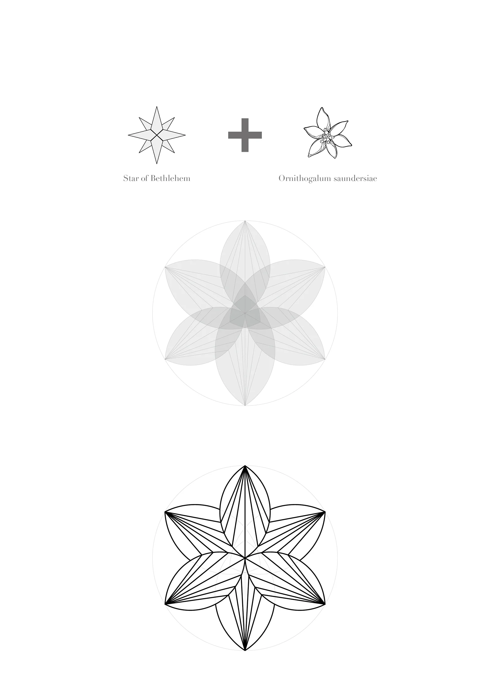 Floral Brand Identity